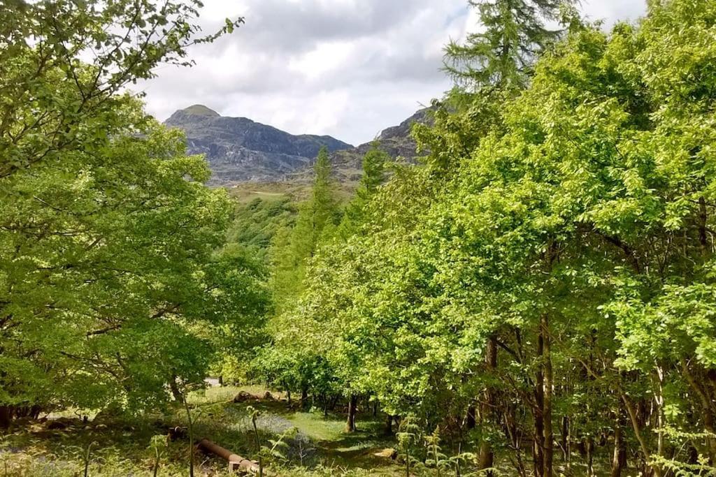 Willa Mountain Walks Straight From The Doorstep Blaenau Ffestiniog Zewnętrze zdjęcie